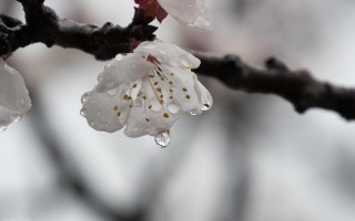 在雨中作文700字初中满分范文《雨中》