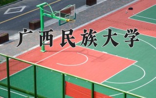 2024广西民族大学录取分数线：浙江最低493分