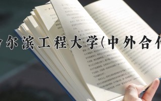 2024哈尔滨工程大学(中外合作)录取分数线，重庆录取最低分591