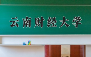 2025年云南财经大学在河南计划招生人数（附学费及专业录取分)