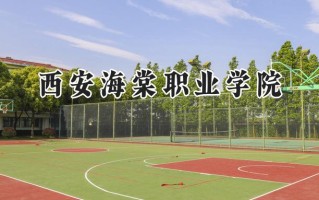 西安海棠职业学院2024在山东录取分数线是多少？最低326分/最高391分