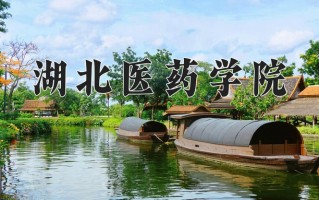 辽宁考生多少分能上湖北医药学院？2025最低544分
