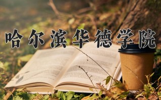 哈尔滨华德学院最厉害的专业-2024哈尔滨华德学院最好专业