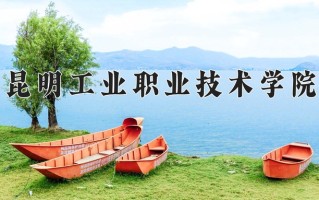2025年昆明工业职业技术学院在四川计划招生人数（附学费及专业录取分)