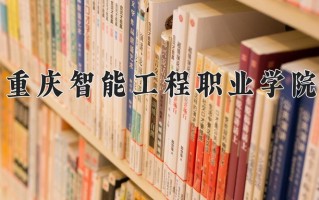 2024年重庆智能工程职业学院招生章程，附办学层次和录取规则