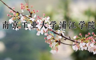 辽宁考生多少分能上南京工业大学浦江学院？2025最低435分
