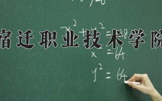 2025年宿迁职业技术学院在四川计划招生人数（附学费及专业录取分)