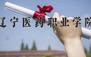 2024年辽宁医药职业学院招生章程，附办学层次和录取规则
