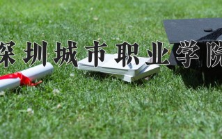 2024年深圳城市职业学院招生章程，附办学层次和录取规则