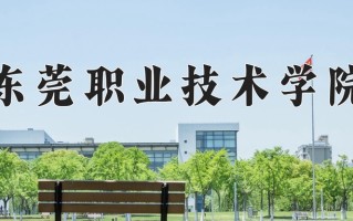 2024年东莞职业技术学院招生章程，附办学层次和录取规则