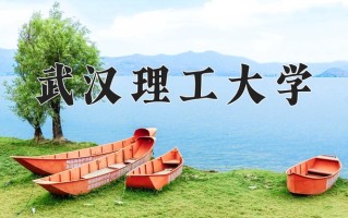 武汉理工大学怎么样？全国排名第几位