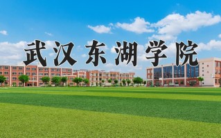 2024年武汉东湖学院招生章程，附办学层次和录取规则