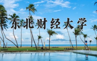 2025年东北财经大学在河南计划招生人数（附学费及专业录取分)