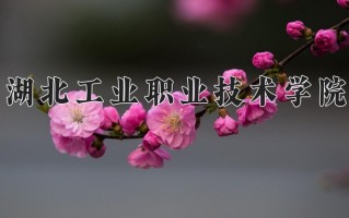 2024年湖北工业职业技术学院招生章程，附办学层次和录取规则