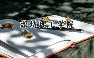 2024潍坊理工学院录取分数线：河南最低189分