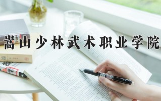 2025年嵩山少林武术职业学院在河南计划招生人数（附学费及专业录取分)