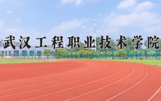 2024武汉工程职业技术学院录取分数线：浙江最低436分