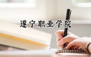 遂宁职业学院2024在青海录取分数线是多少？最低173分/最高238分