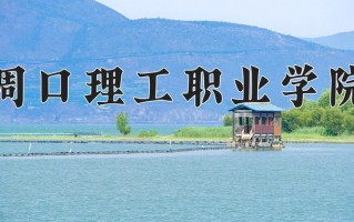 2024年周口理工职业学院招生章程，附办学层次和录取规则