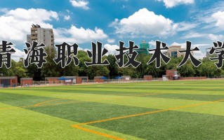 2024年青海职业技术大学招生章程，附办学层次和录取规则