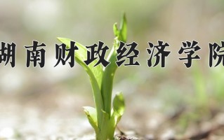 2024年湖南财政经济学院录取分数线，宁夏最低423分