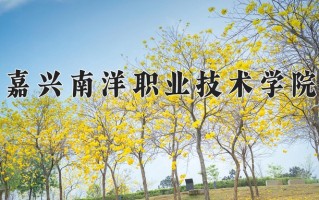 2024年嘉兴南洋职业技术学院招生章程，附办学层次和录取规则