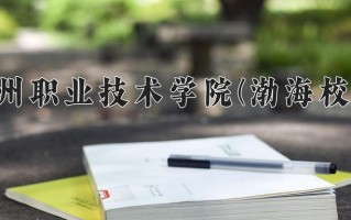 沧州职业技术学院(渤海校区)一年学费多少钱及各专业的收费标准(2025参考）