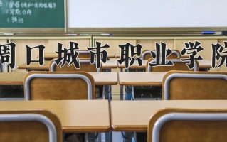 2024年周口城市职业学院招生章程，附办学层次和录取规则