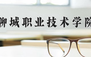 2024年聊城职业技术学院招生章程，附办学层次和录取规则