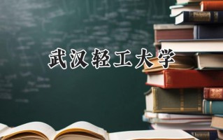 2024武汉轻工大学录取分数线：山西最低451分