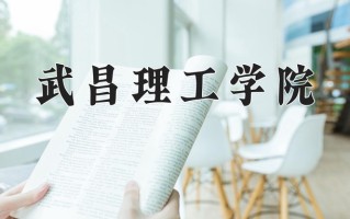 辽宁考生多少分能上武昌理工学院？2025最低439分