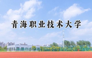 2024青海职业技术大学录取分数线：河南最低349分