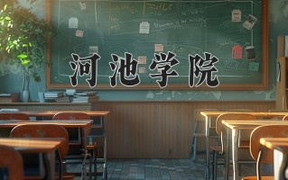 2024年河池学院招生章程，附办学层次和录取规则
