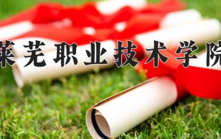 2024年莱芜职业技术学院招生章程，附办学层次和录取规则