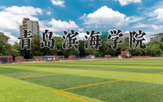 2025年青岛滨海学院在四川计划招生人数（附学费及专业录取分)
