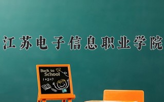2024年江苏电子信息职业学院录取分数线，青海最低295分