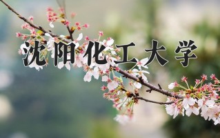 2025年沈阳化工大学在河南计划招生人数（附学费及专业录取分)