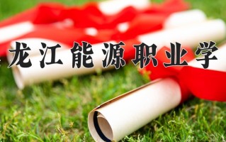 2024年黑龙江能源职业学院录取分数线，宁夏最低263分