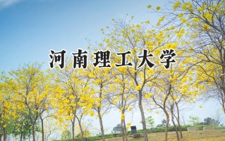 2024河南理工大学录取分数线：宁夏最低430分