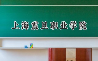 上海震旦职业学院2024在浙江录取分数线是多少？最低321分/最高492分