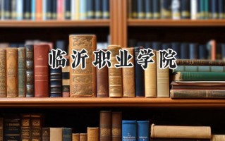 临沂职业学院2024在山东录取分数线是多少？最低284分/最高501分