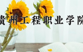 2025年贵州工程职业学院在四川计划招生人数（附学费及专业录取分)