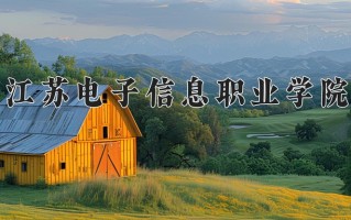 2025年江苏电子信息职业学院在四川计划招生人数（附学费及专业录取分)