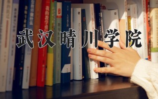 武汉晴川学院学费多少钱一年：9600-25800元/年（2025填报参考）