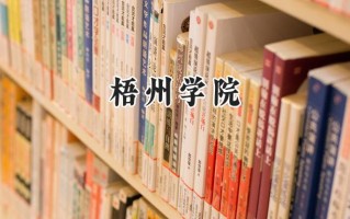 梧州学院2024在上海录取分数线是多少？最低420分/最高438分