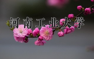 2025年河南工业大学在新疆计划招生人数（附学费及专业录取分)