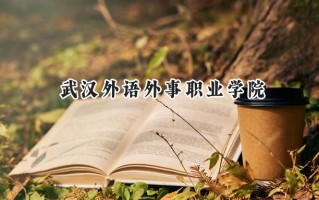 武汉外语外事职业学院2024在江苏录取分数线是多少？最低347分/最高394分