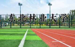 2024年东北林业大学招生章程，附办学层次和录取规则