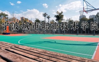 2025年宁波城市职业技术学院在河南计划招生人数（附学费及专业录取分)