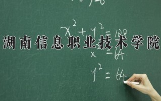 2025年湖南信息职业技术学院在河南计划招生人数（附学费及专业录取分)